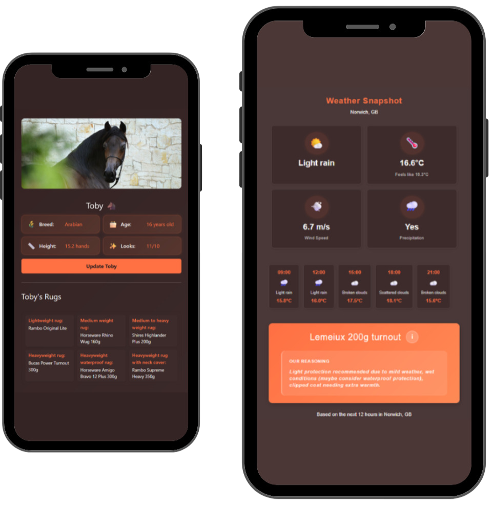 Preview of features in phone