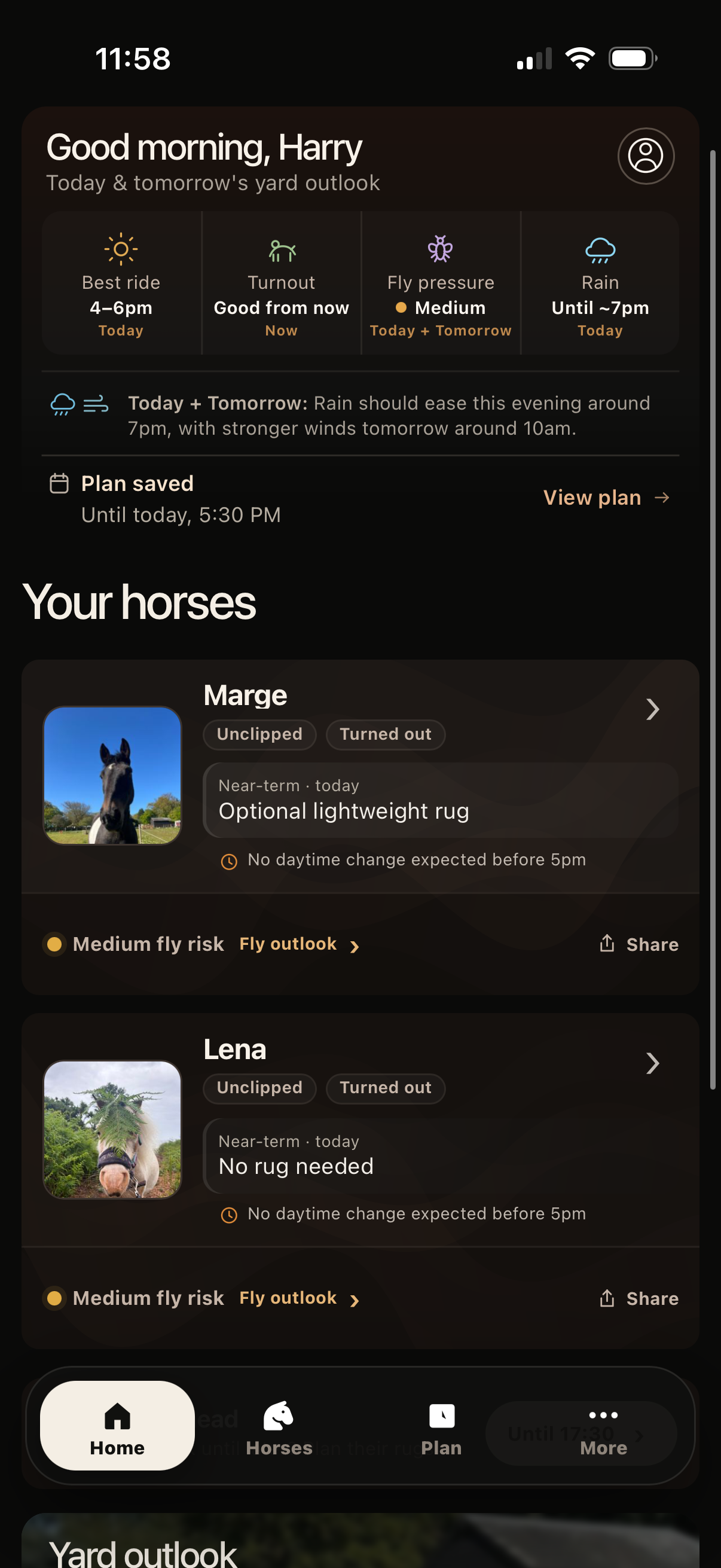 Complete Horse Rugging Guide: Weather, Weight & Fit | RugWeather
